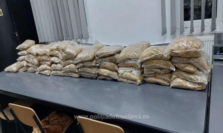 Poliţiştii de frontieră au găsit aproape 25 kg de tutun în bagajele unor sătmăreni