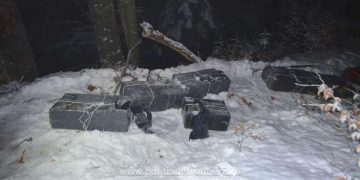 Mai multe colete cu 6.500 de pachete cu ţigări descoperite la frontiera de nord