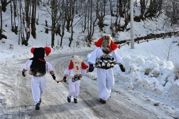 Parada brondoșilor din Cavnic