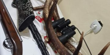 Percheziții la Borşa. Arme, trofee şi coarne de cerb, găsite în locuinţa unui borşean de 23 de ani