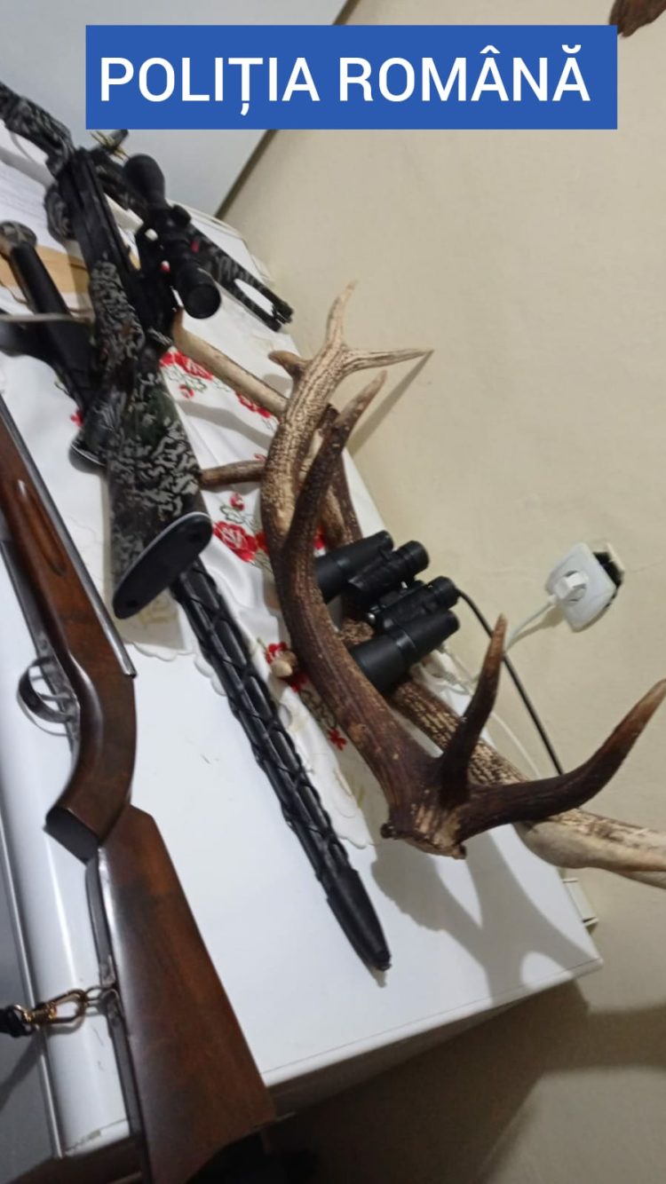 Percheziții la Borşa. Arme, trofee şi coarne de cerb, găsite în locuinţa unui borşean de 23 de ani