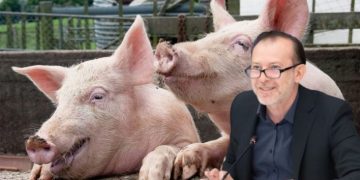 Legea Porcului, sau cum îi favorizăm pe șmecherii din industrii și pe cei de la Bruxelles!