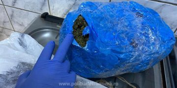 Sighetean prins în flagrant cu aproximativ 2 kg de canabis – FOTO