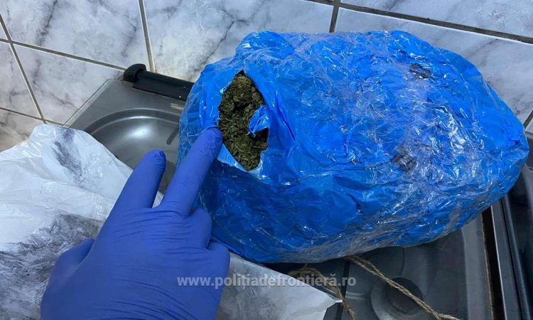 Sighetean prins în flagrant cu aproximativ 2 kg de canabis – FOTO