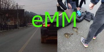 Ziua accidentelor. GALERIE FOTO