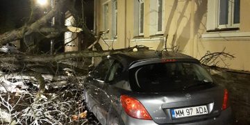 Vijelia a făcut ravagii: Copac căzut peste o mașină din Baia Mare