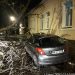 Vijelia a făcut ravagii: Copac căzut peste o mașină din Baia Mare