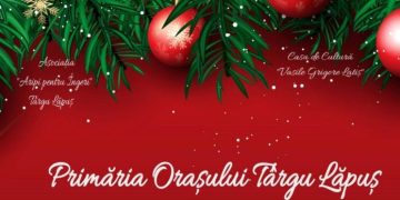 În Târgu Lăpuș are loc spectacolul de teatru ”O călătorie în ținutul Pădurea Magică”