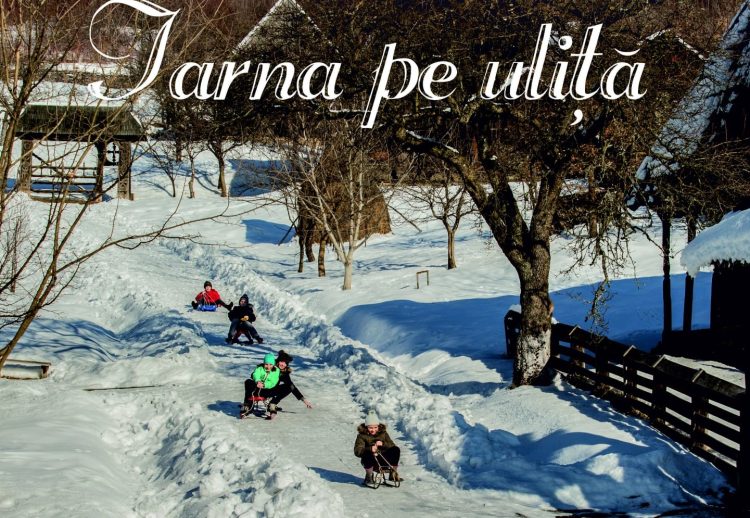 Iarna pe uliţă! Derdelușul îi aşteaptă pe copii şi în acest la Muzeul Satului din Baia Mare