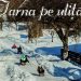 Iarna pe uliţă! Derdelușul îi aşteaptă pe copii şi în acest la Muzeul Satului din Baia Mare
