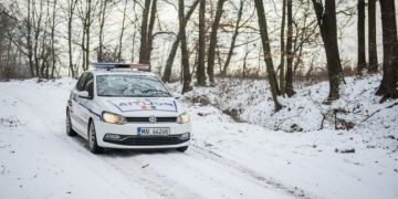 Pădurarii din Vișeu sunt cercetați disciplinar. Motivul este unul amuzant