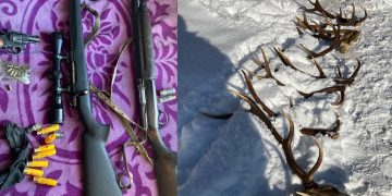 Descinderi la Vişeu de Sus. Arme de vânătoare, cartușe, coarne de cerb, copite de căprior, găsite în urma a mai multor percheziţii domiciliare