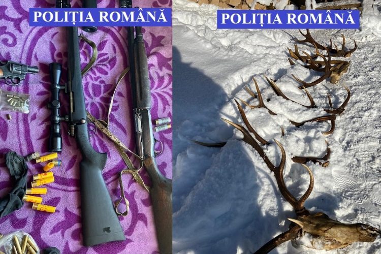 Descinderi la Vişeu de Sus. Arme de vânătoare, cartușe, coarne de cerb, copite de căprior, găsite în urma a mai multor percheziţii domiciliare