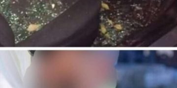 Caz şocant. Un profesor de sport din Borşa a fost atacat cu ranga. Ar fi vândut droguri copiilor