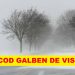 ALERTĂ METEO. Cod galben de VISCOL în Maramureş, până sâmbătă