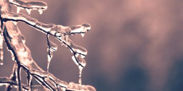 Val de ger peste Maramureş. Temperaturi de -19 grade Celsius în unele zone