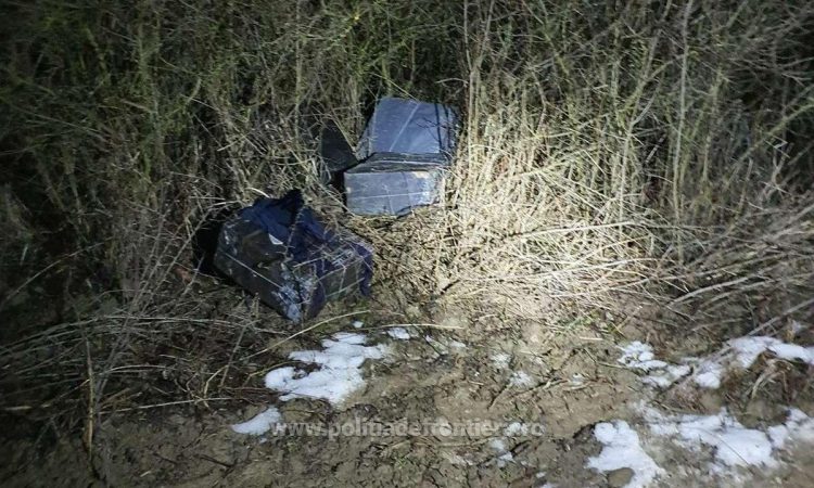 Țigări de contrabandă de peste 58.000 lei, ascunse în vegetaţie, pe marginea unui canal de drenaj