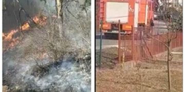 Arde pădurea de pini din Ciolt. Vântul împrăştie flăcările spre gospodăriile oamenilor