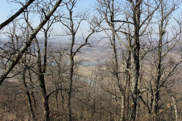 Noi cercetări arheologice de suprafață în sudul județului Maramureș