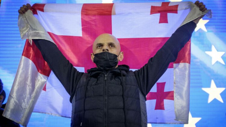 Georgia și-a depus oficial candidatura pentru aderarea la Uniunea Europeană