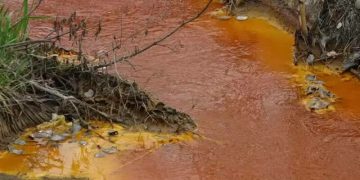 Nou accident de mediu în Maramureș. Așa arată apele râului Săsar