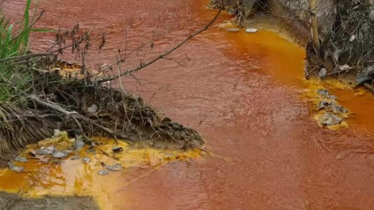 Nou accident de mediu în Maramureș. Așa arată apele râului Săsar