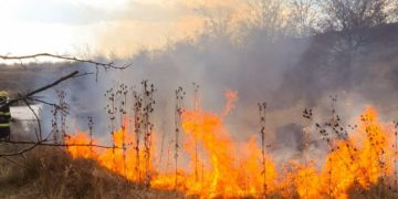Pompierii maramureşeni au intervenit la 15 incendii de vegetaţie uscată în ultimele ore