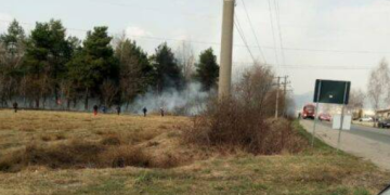 Incendiu de pădure lângă Târgu Auto din Baia Mare