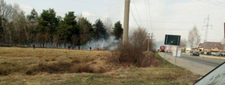 Incendiu de pădure lângă Târgu Auto din Baia Mare