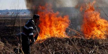 Incendiile de vegetație uscată fac ravagii în întreg județul. Cine îi prinde pe incendiatori?