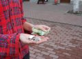 Cerşetoria, în vizorul poliţiştilor băimăreni. 13 cerşetori, sancționaţi cu 3.000 de lei