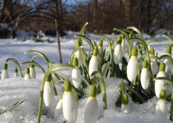 Vreme rece săptămâna aceasta. De când cresc temperaturile
