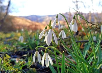 Prognoza meteo. Vreme capricioasă în următoarele două săptămâni