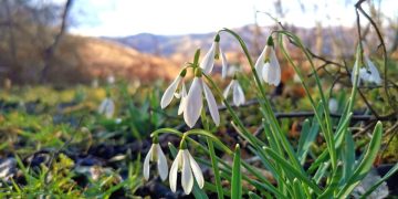 Prognoza meteo. Vreme capricioasă în următoarele două săptămâni