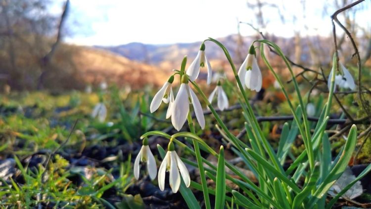 Prognoza meteo. Vreme capricioasă în următoarele două săptămâni