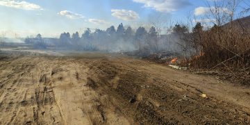 Incendiu violent de vegetaţie uscată pe strada Dragoş Vodă din Baia Mare – VIDEO