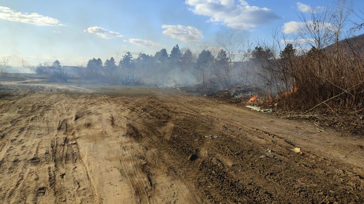 Incendiu violent de vegetaţie uscată pe strada Dragoş Vodă din Baia Mare – VIDEO