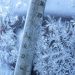 Vine gerul peste România. Temperaturile vor atinge -18 grade Celsius