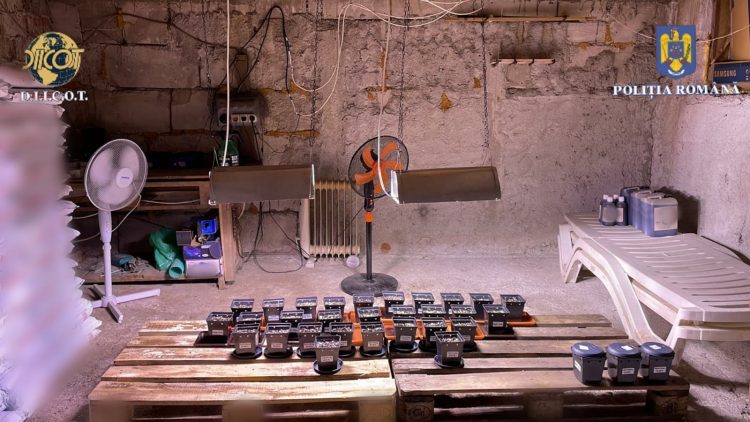 Percheziţii la traficanţi de droguri. Doi bărbaţi au fost arestaţi, 10 kg de canabis, două pistoale, peste 26 mii de lei și autoturisme confiscate