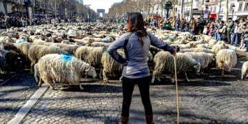 2022 de oi s-au plimbat pe bulevardul Champs-Élysées din Paris