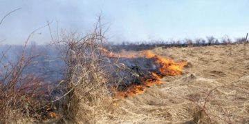 APIA informează fermierii: Este interzisă arderea miriştilor şi a resturilor vegetale pe terenul arabil