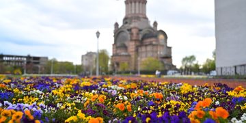 Băimărenii au cu ce se lăuda!