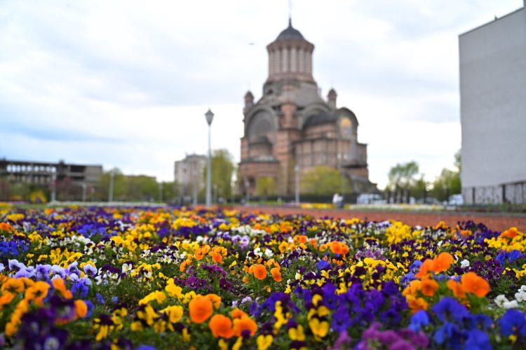 Băimărenii au cu ce se lăuda!