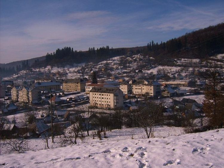 Școala Regina Elisabeta din Băiuț a câștigat o finanțare de 70000 de euro pentru reducerea abandonului școlar