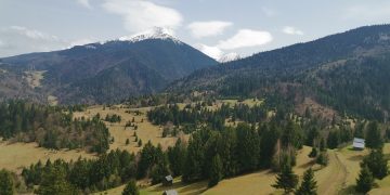 Peisaje de pe dealurile Moiseiului