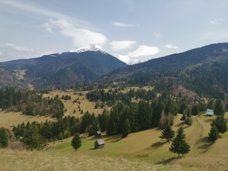 Peisaje de pe dealurile Moiseiului