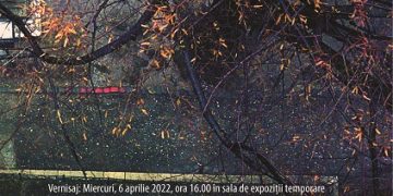 ”Împreună” – vernisaj de expoziţie de fotografie, la Muzeul Județean de Artă «Centrul Artistic Baia Mare»