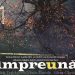 ”Împreună” – vernisaj de expoziţie de fotografie, la Muzeul Județean de Artă «Centrul Artistic Baia Mare»