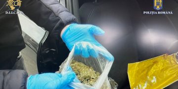 Descinderi la traficanţii de droguri din Maramureş. Poliţiştii au găsit 25 de grame de cocaină, peste 7 kilograme de canabis, ecstasy