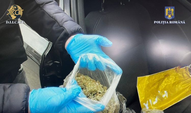 Descinderi la traficanţii de droguri din Maramureş. Poliţiştii au găsit 25 de grame de cocaină, peste 7 kilograme de canabis, ecstasy